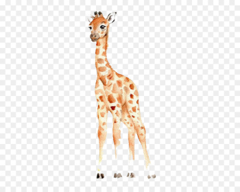 West African giraffe Watercolor painting Drawing Nursery - Baby giraffe 
