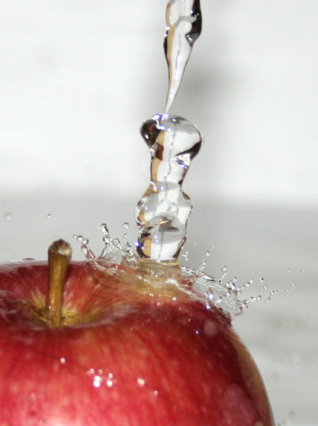 wet_009.jpg wet_009.jpg