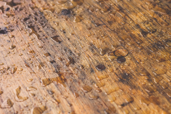 Wet Brown Wood Wet Brown Wood