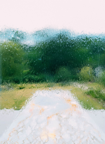Wet Window Wet Window