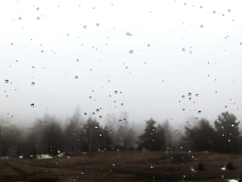 Wet Window Wet Window