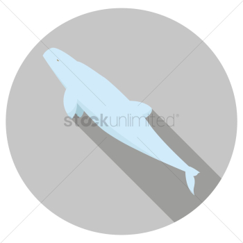 Whale Whale