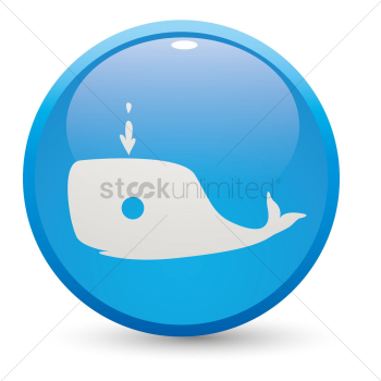 Whale Whale