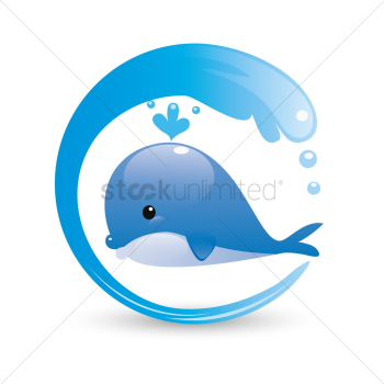 Whale Whale