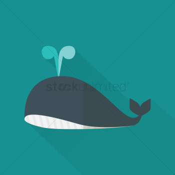 Whale Whale