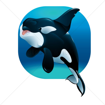 Whale Whale