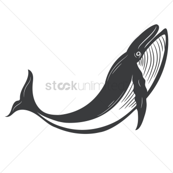 Whale Whale