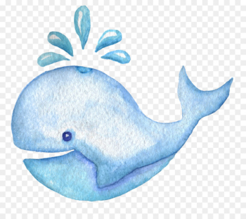 Whale Cartoon - Blue whale spray watercolor picture material Whale Cartoon - Blue whale spray watercolor picture material
