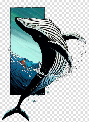 Whale illustration, Sperm whale Drawing Killer whale Illustration, whale transparent background PNG clipart