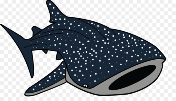 Whale shark Drawing Clip art - cartoon shark Whale shark Drawing Clip art - cartoon shark