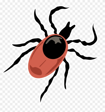 What Are Ticks, And Should I Be Concerned - Leaf Beetle What Are Ticks, And Should I Be Concerned - Leaf Beetle