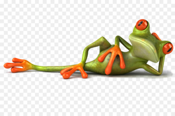 WhatsApp Hindi Humour Joke - frog WhatsApp Hindi Humour Joke - frog