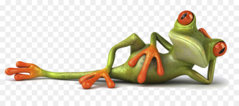 WhatsApp Hindi Quotation Humour - frog WhatsApp Hindi Quotation Humour - frog