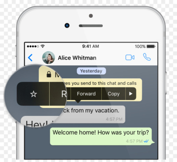 WhatsApp Message Mobile Phones Information mSpy - message box 