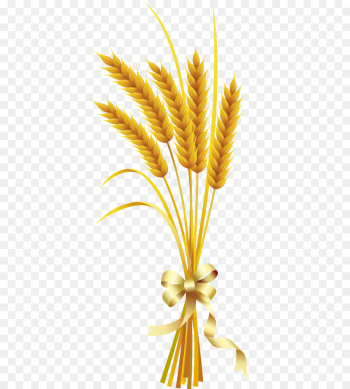 Wheat Wheat
