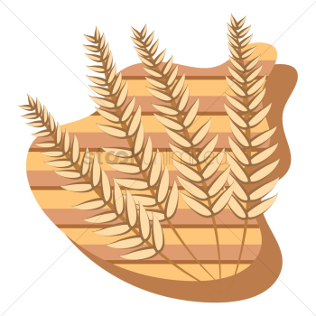Wheat Wheat