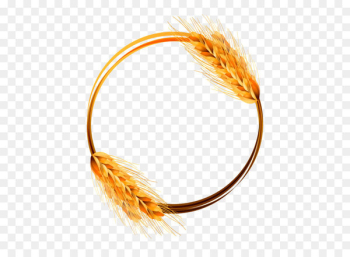 Wheat Cereal Ear - Vector golden wheat Wheat Cereal Ear - Vector golden wheat