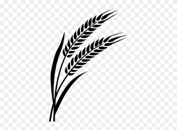 Wheat Decal - Wheat Wheat Decal - Wheat