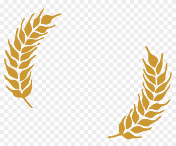 Wheat Ear Barley Clip Art - Wheat Vector Wheat Ear Barley Clip Art - Wheat Vector