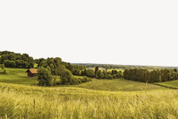 Wheat field background, agriculture border | Free PSD - rawpixel Wheat field background, agriculture border | Free PSD - rawpixel