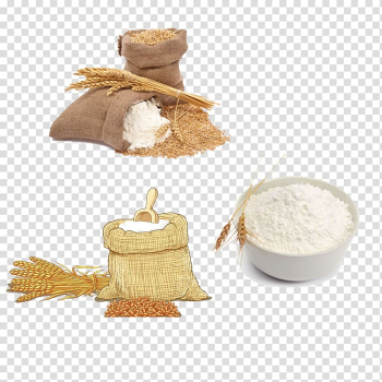 Wheat flour Roti Wheat flour Sieve, Plant wheat white flour transparent background PNG clipart