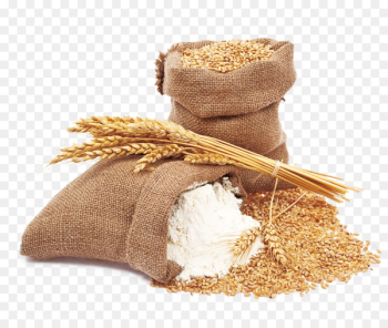 Wheat flour Wheat flour Bread - wheat Wheat flour Wheat flour Bread - wheat
