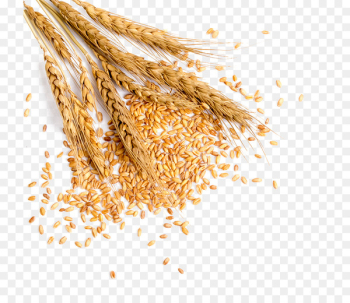 Wheat Grauds Bread - Full of wheat Wheat Grauds Bread - Full of wheat