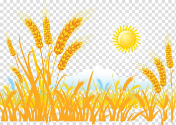Wheat Sticker , Harvest the grain of wheat transparent background PNG clipart Wheat Sticker , Harvest the grain of wheat transparent background PNG clipart
