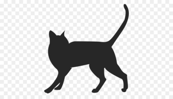 Whiskers Black cat Dog Domestic short-haired cat - cat Whiskers Black cat Dog Domestic short-haired cat - cat