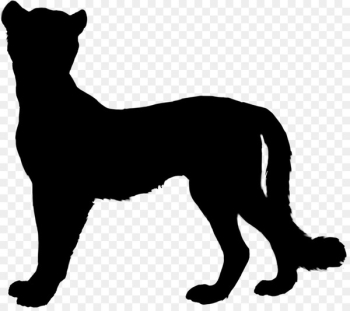 Whiskers Cat Dog breed Snout - Whiskers Cat Dog breed Snout -