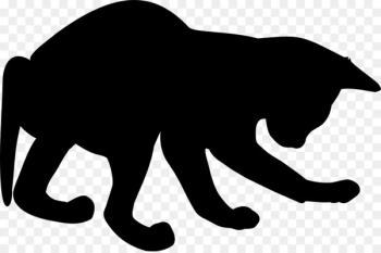 Whiskers Cat Dog Canidae Mammal - Whiskers Cat Dog Canidae Mammal -