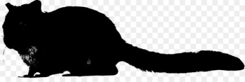 Whiskers Cat Dog Canidae Mammal - Whiskers Cat Dog Canidae Mammal -