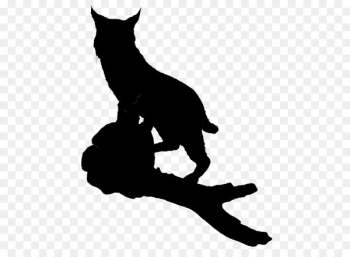 Whiskers Cat Dog Canidae Mammal - Whiskers Cat Dog Canidae Mammal -