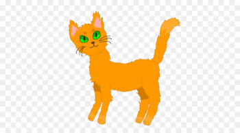 Whiskers Cat Dog Canidae Mammal - cat Whiskers Cat Dog Canidae Mammal - cat