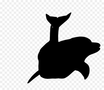 Whiskers Cat Dog Mammal Canidae - Whiskers Cat Dog Mammal Canidae -
