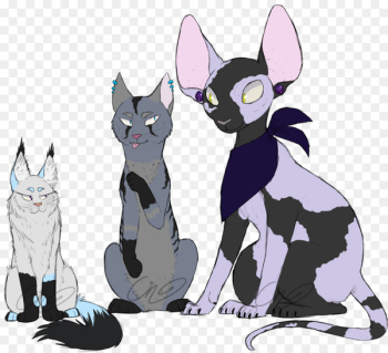 Whiskers Cat Dog Mammal Canidae - cat Whiskers Cat Dog Mammal Canidae - cat