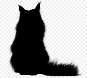 Whiskers Cat Dog Mammal Fur - Whiskers Cat Dog Mammal Fur -
