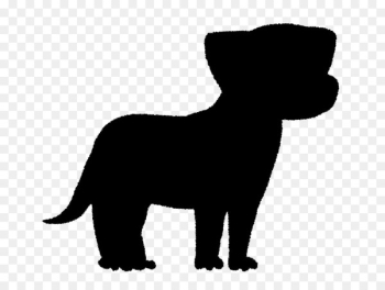 Whiskers Cat Puppy Dog breed - Whiskers Cat Puppy Dog breed -