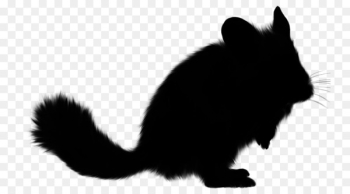 Whiskers Cat Rat Dog Squirrel - Whiskers Cat Rat Dog Squirrel -