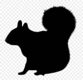Whiskers Cat Rat Squirrel Bear - Whiskers Cat Rat Squirrel Bear -