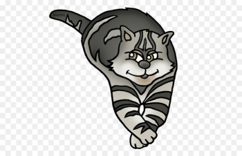 Whiskers, Cat, Tiger, White PNG Whiskers, Cat, Tiger, White PNG