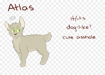 Whiskers Dog Cat Deer Mammal - dog Whiskers Dog Cat Deer Mammal - dog