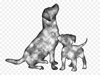 Whiskers Puppy Kitten Dog breed Cat - puppy Whiskers Puppy Kitten Dog breed Cat - puppy