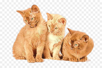 Whiskers, Siamese Cat, Cat Tree, Cat, Mammal PNG Whiskers, Siamese Cat, Cat Tree, Cat, Mammal PNG