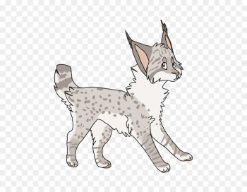 Whiskers Tabby cat Domestic short-haired cat Wildcat - cat Whiskers Tabby cat Domestic short-haired cat Wildcat - cat