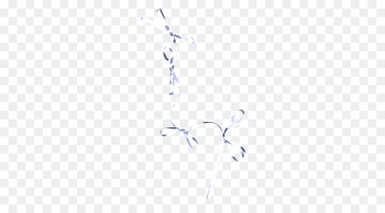 white white