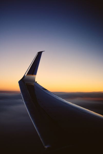 white airline wing white airline wing