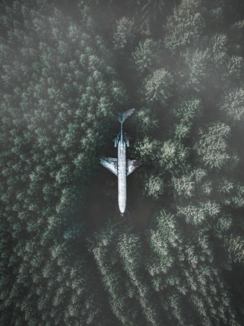 White Airliner in Forest White Airliner in Forest
