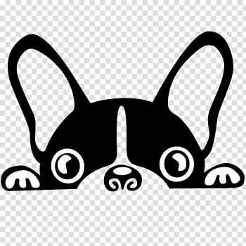 White and black French bulldog illustration, Boston Terrier French Bulldog Brazilian Terrier Puppy, Black and white puppy transparent background PNG clipart