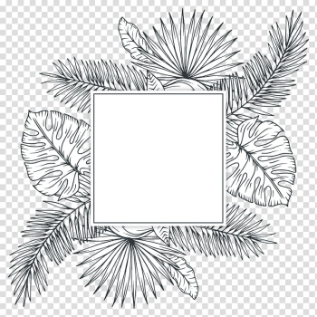 White and black leaf frame illustration, Tropics Plant Sketch, Tropical plants transparent background PNG clipart